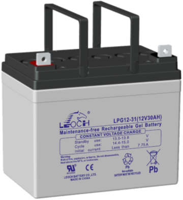 Leoch LPG12-31